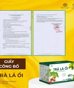 TRÀ LÁ ỔI GIẢM CÂN MYCHI